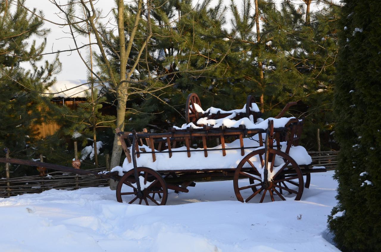 Trembita Hotel Chust Zewnętrze zdjęcie